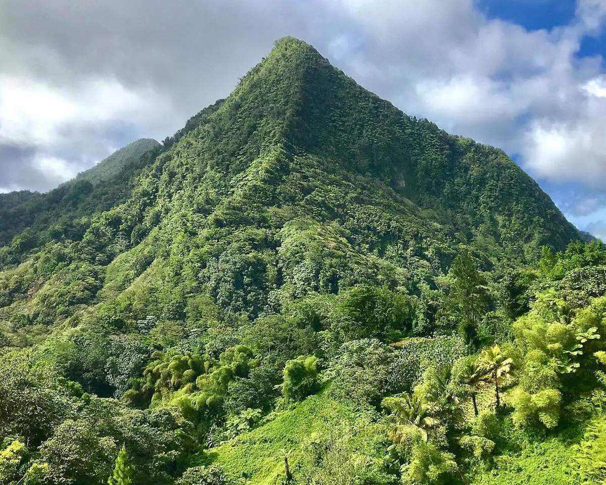 Treehouse Hideaway Villa I - Piton And Ocean Views Soufrière Saint Lucia